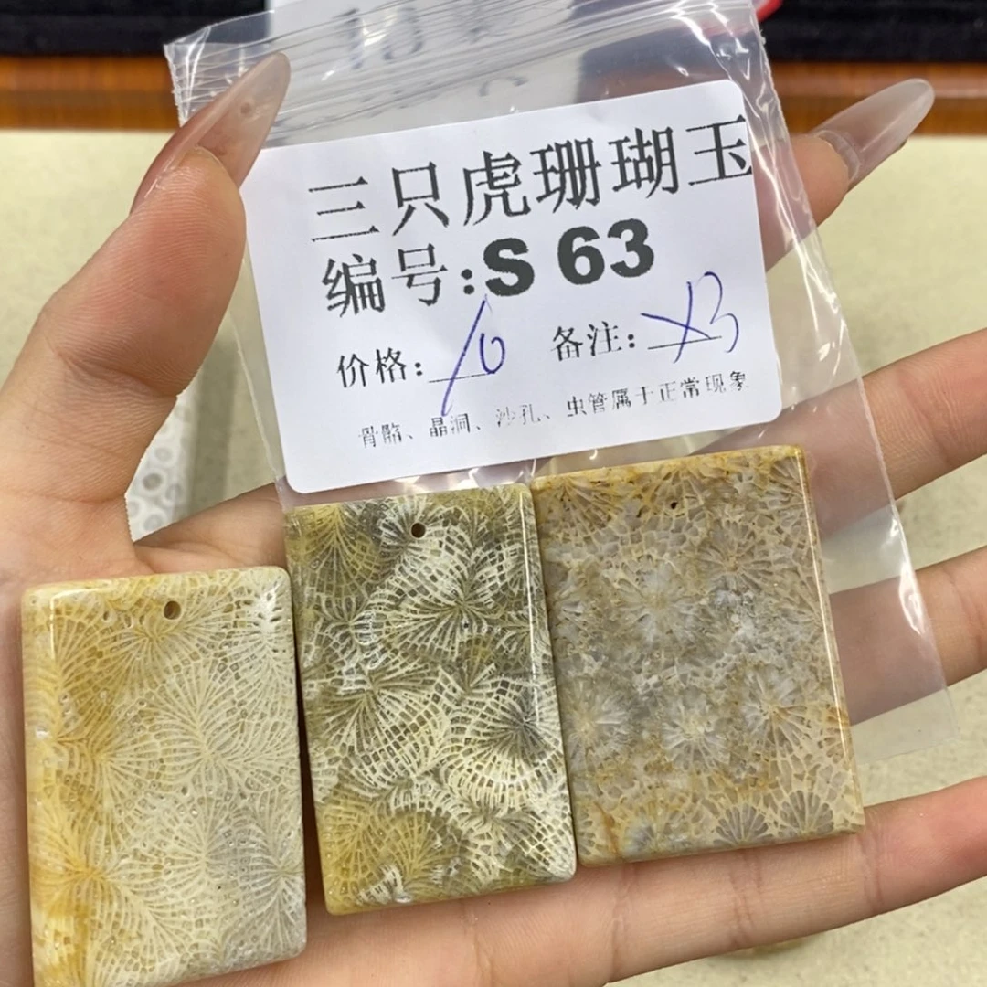 硅化珊瑚（珊瑚玉）t足银镀金镶嵌北*