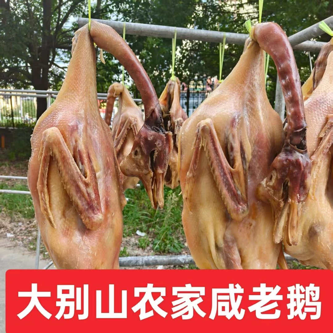 大别山皖西大白鹅咸鹅腊鹅1-30号