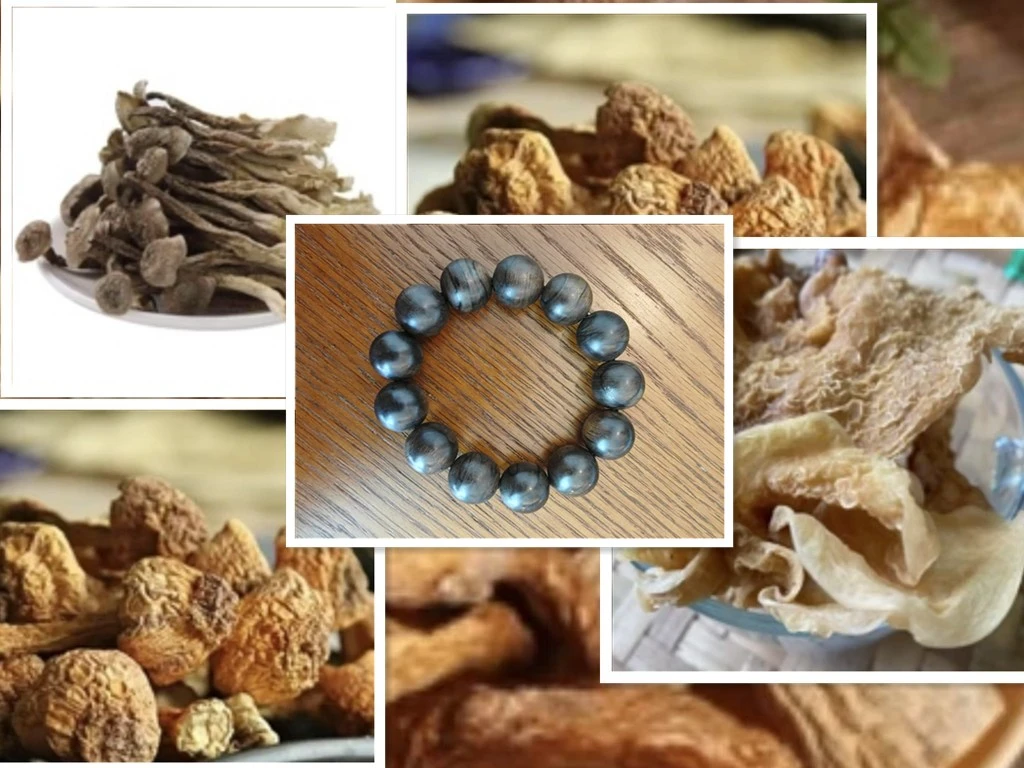 【在河口的秘密】A0204 重量40g