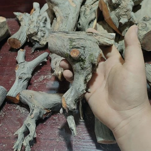 动***犬核桃木/黑胡桃（胡桃木）