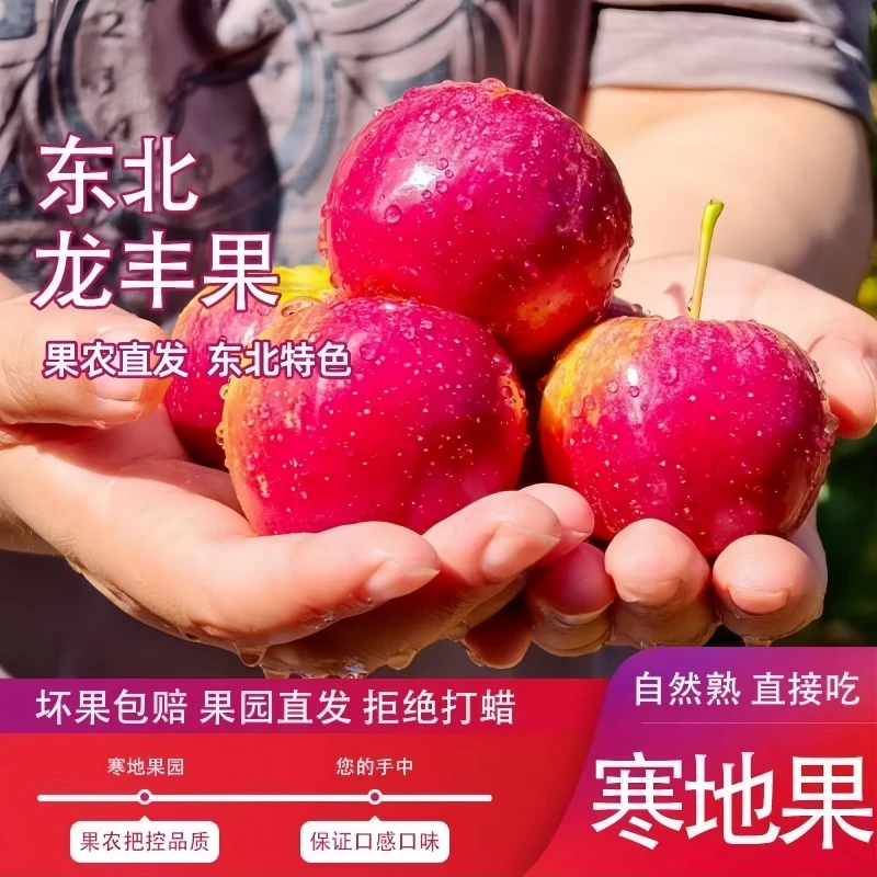 【冻不硬】东北龙丰果酸甜酥脆非海棠果鸡心果当季新鲜水果大秋果