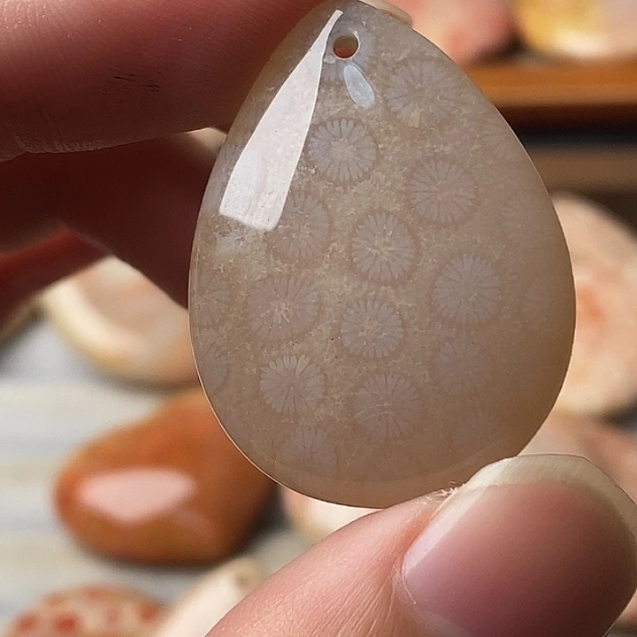 H***芳硅化珊瑚未镶嵌颈饰