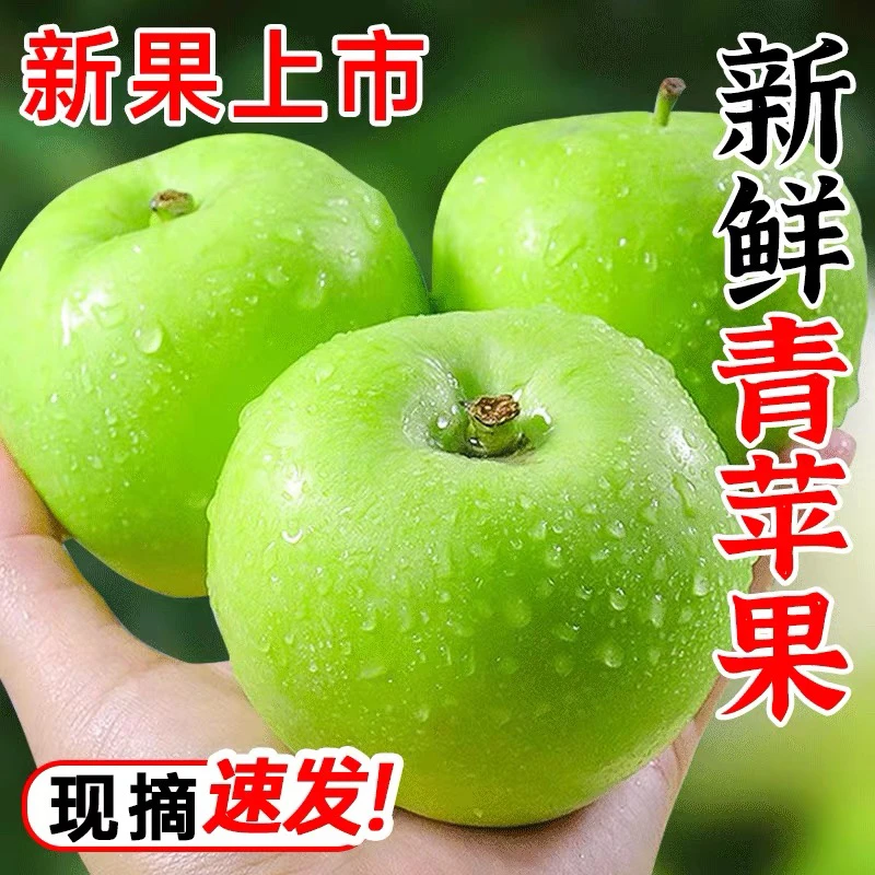 【2025年新鲜青苹果】应季新鲜青苹果现摘酸脆爽口适合孕妇的水果