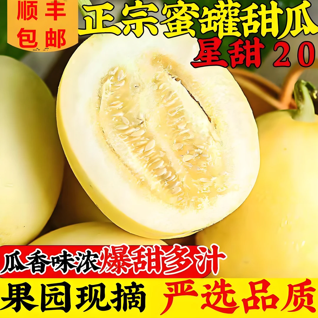 【顺丰包邮】头茬星甜20小蜜蜂冰糖蜜罐甜香瓜脆甜多汁蜜瓜现摘现发
