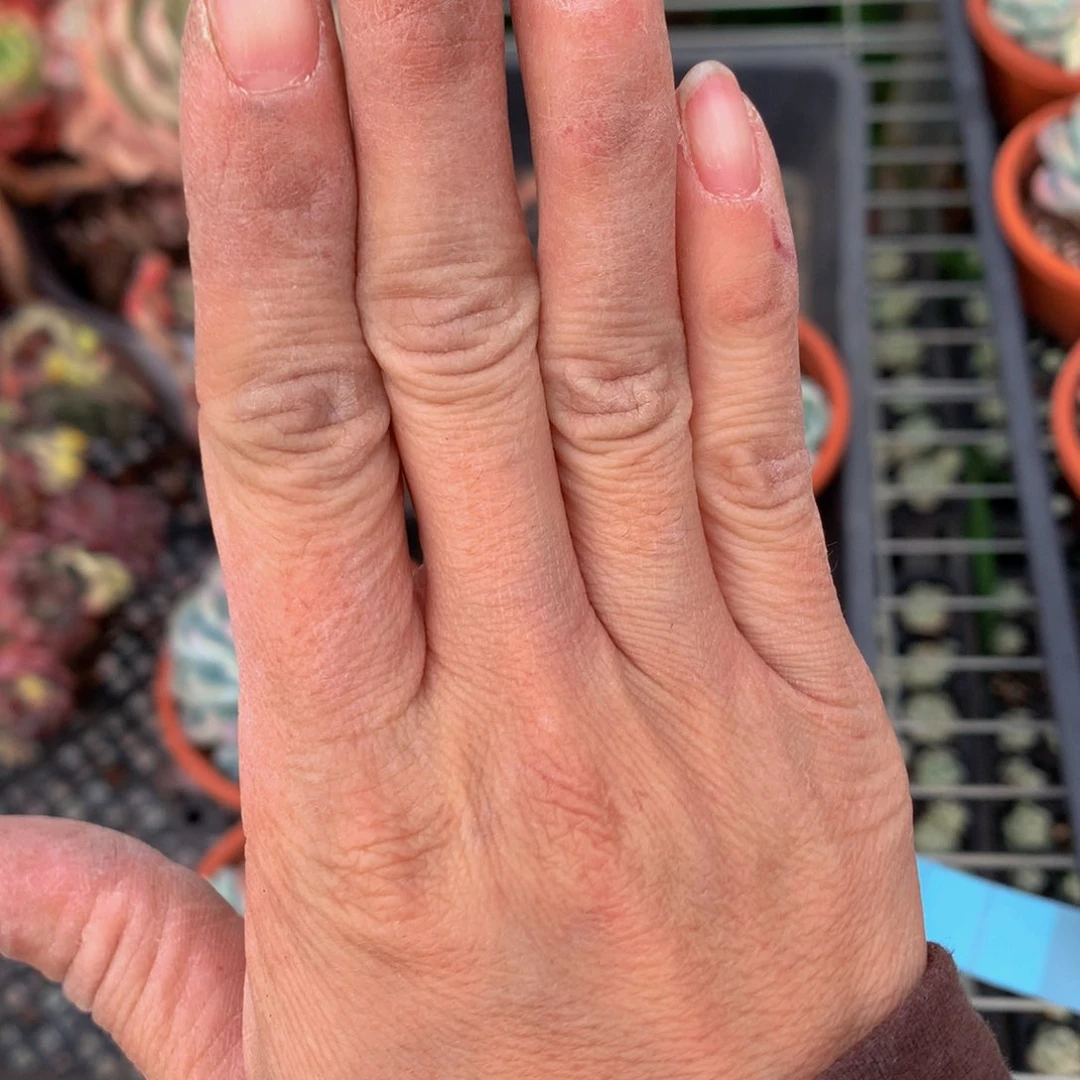 ?**?21688冰玉六个意思嗯嗯