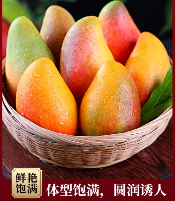 云南元江金凤凰芒果贵妃芒改良品种树上熟新鲜水果应季热带现摘