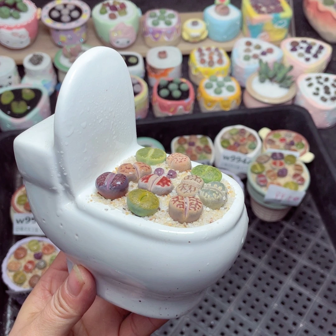 w9952 -零下地区拍保温箱-15支持寄养