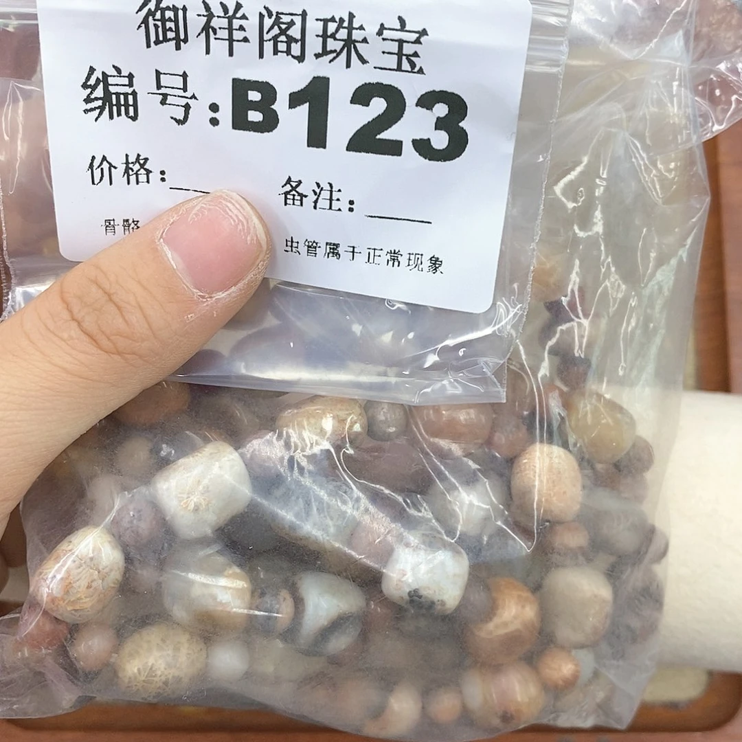 硅化珊瑚（珊瑚玉）颈饰未镶嵌青****旧
