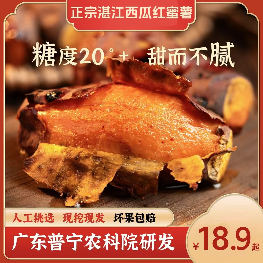 【糖度20+】广东湛江西瓜红蜜薯坏果包赔糖心新鲜蜜薯3斤/5斤/9斤