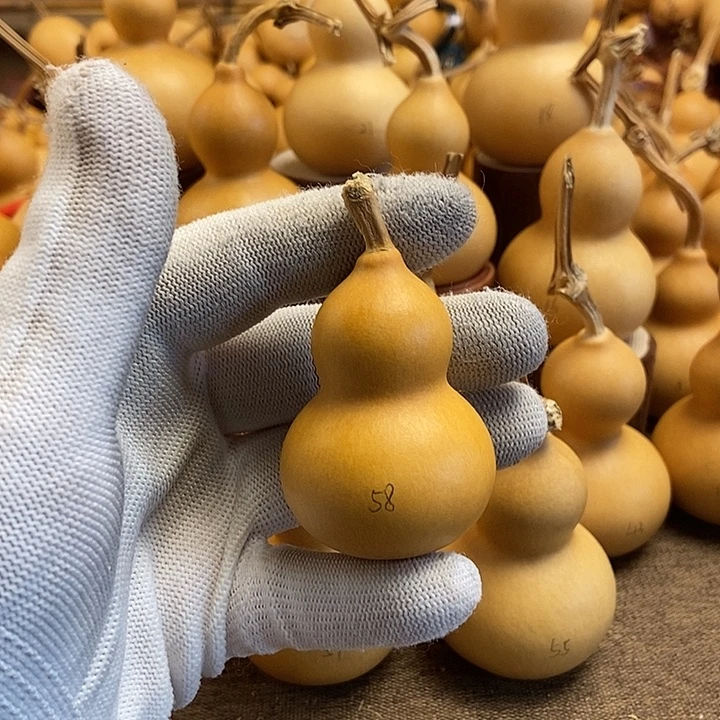 文玩葫芦 完美主义者 慎拍58