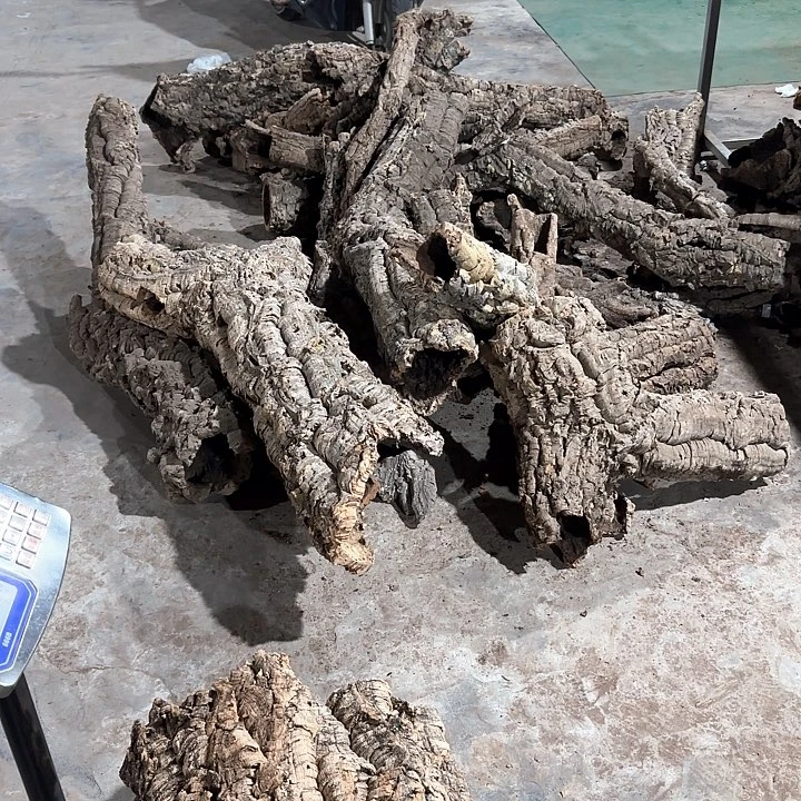 壁***路完全开放一物一物一拍一物一发