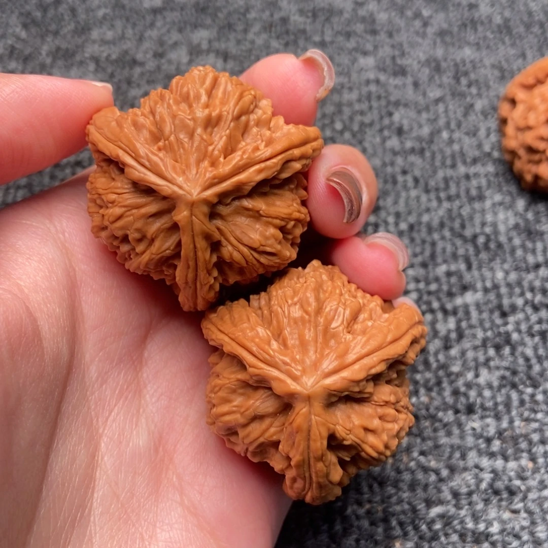 木质类白狮子正奔