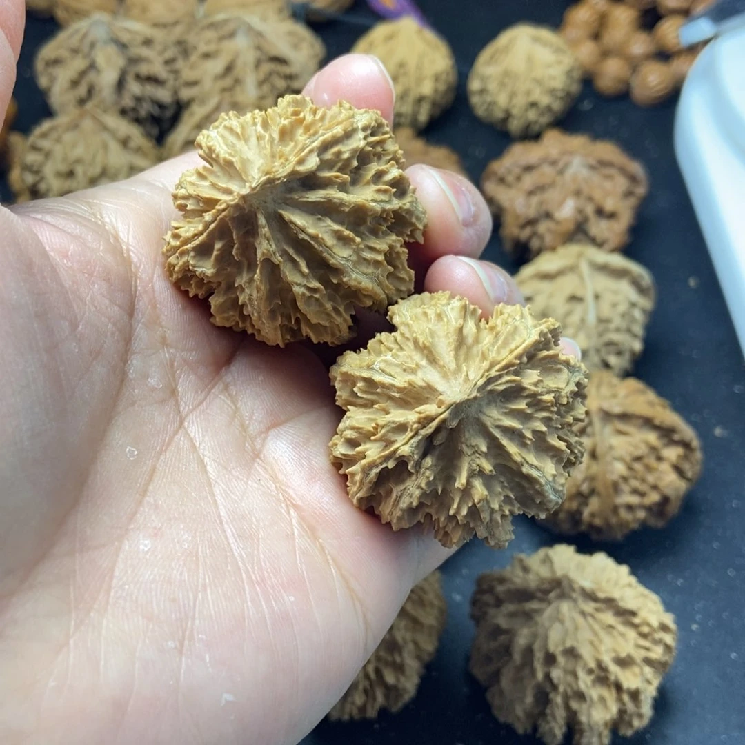 桃核把件秦岭核桃菊花灯笼39