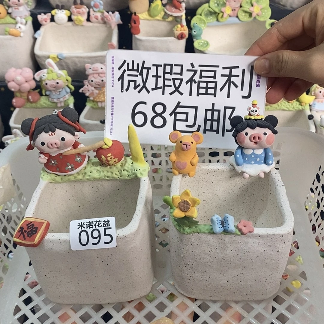 米诺多肉植物花盆095