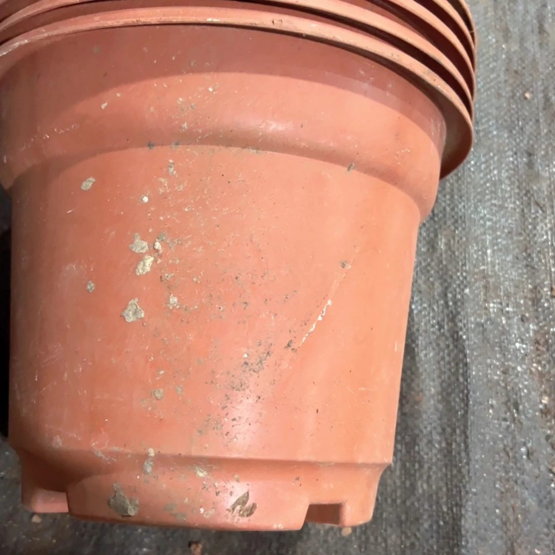 红圆盆25口径19高 5个