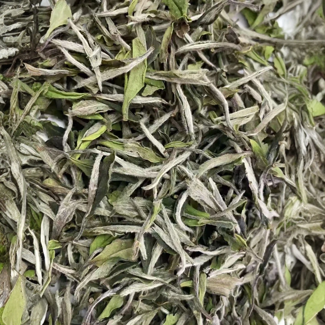 福鼎头采白牡丹500克