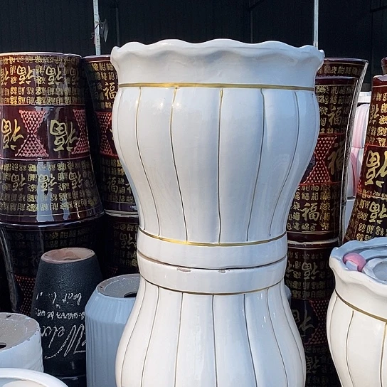 花口白南瓜特大口40/40