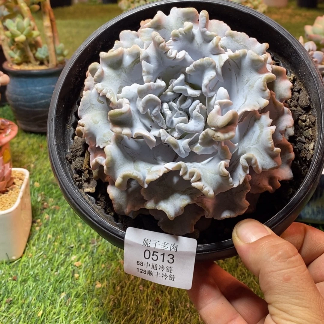 0513啊啊啊啊啊啊啊啊