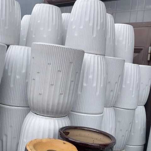 低腰白钢琴中号 口26/34
