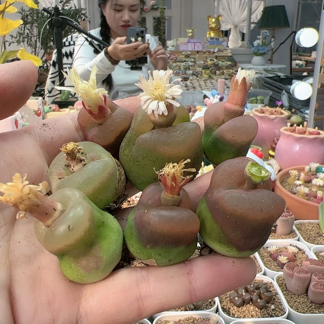 【闪购商品】119 秒