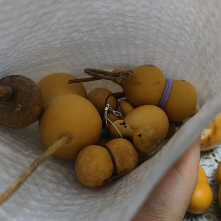 金***王法国好困困看了看v吃饭