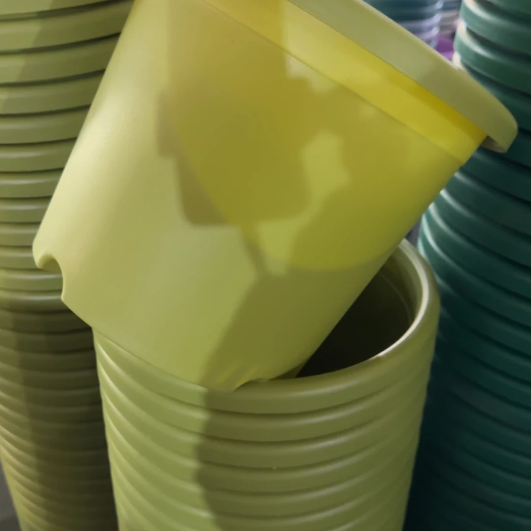 树脂特价5#无拖果绿6个