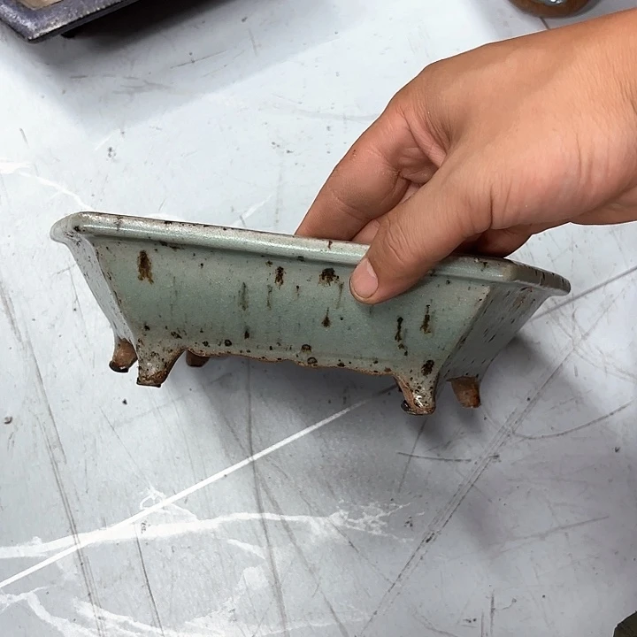 紫砂花盆H****?紫砂的花开了吗