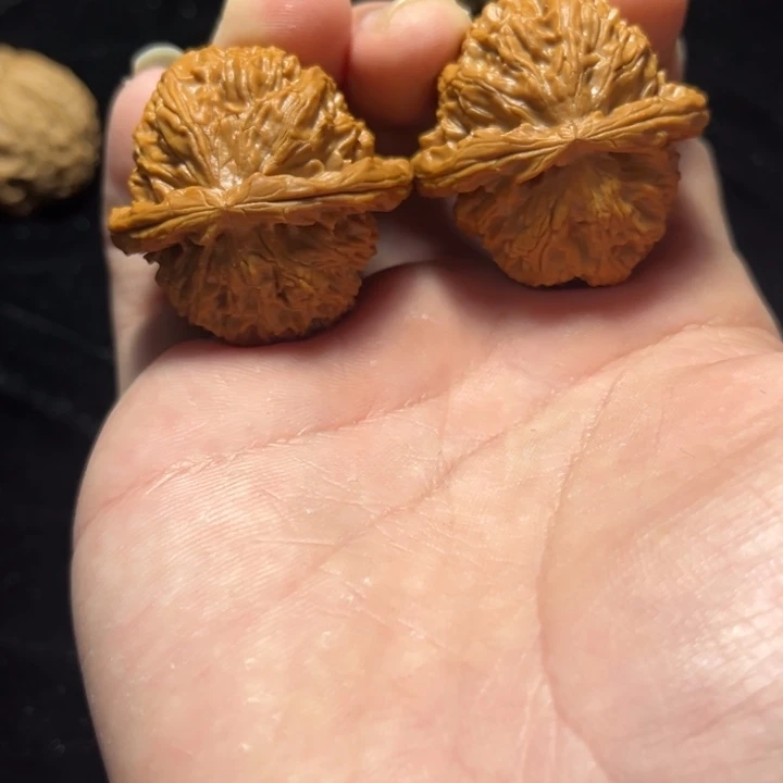 文玩核桃白狮子38尺