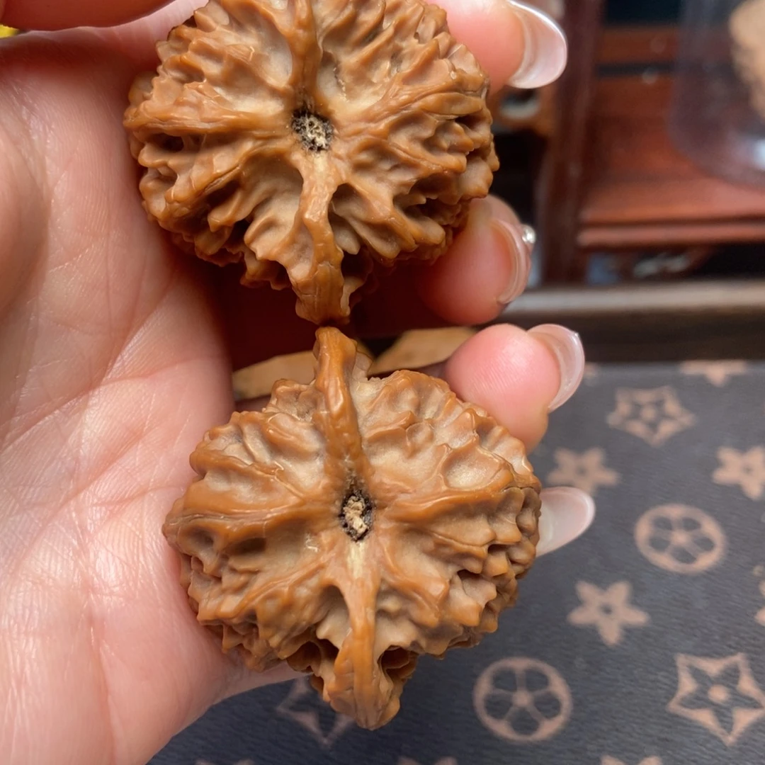大叶紫檀（黑酸枝木类）苹果园