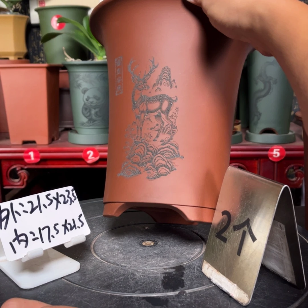 花盆紫砂紫砂花盆