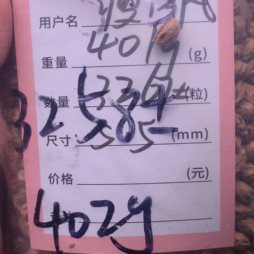 柏香籽/百香籽吊坠瘦*丸