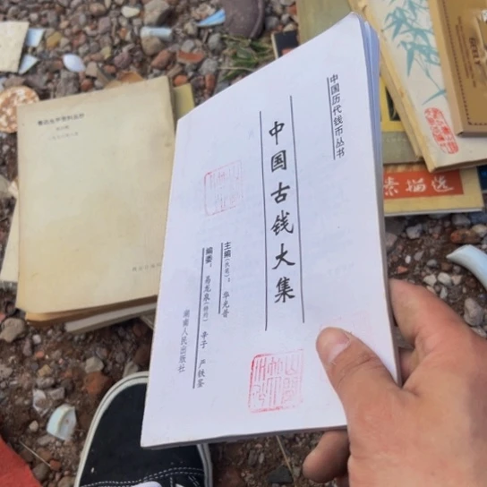 欢***哥杂色豆（科檀/科特迪瓦檀木）