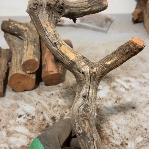 大果紫檀（缅甸花梨）近*昏