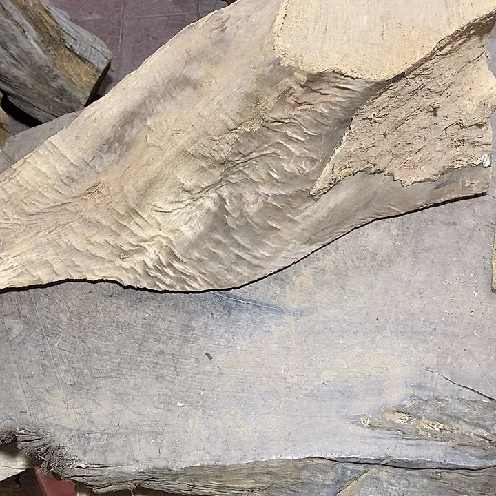 乌木类金丝楠木小叶