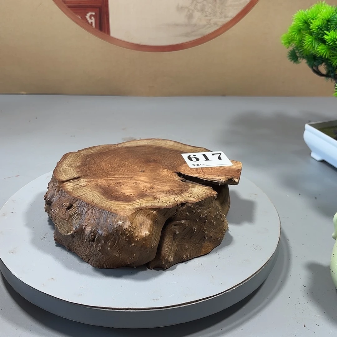 大果紫檀（缅甸花梨）朕****你