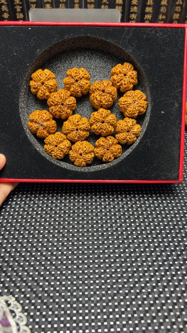 霸王花，尼泊尔大金刚。