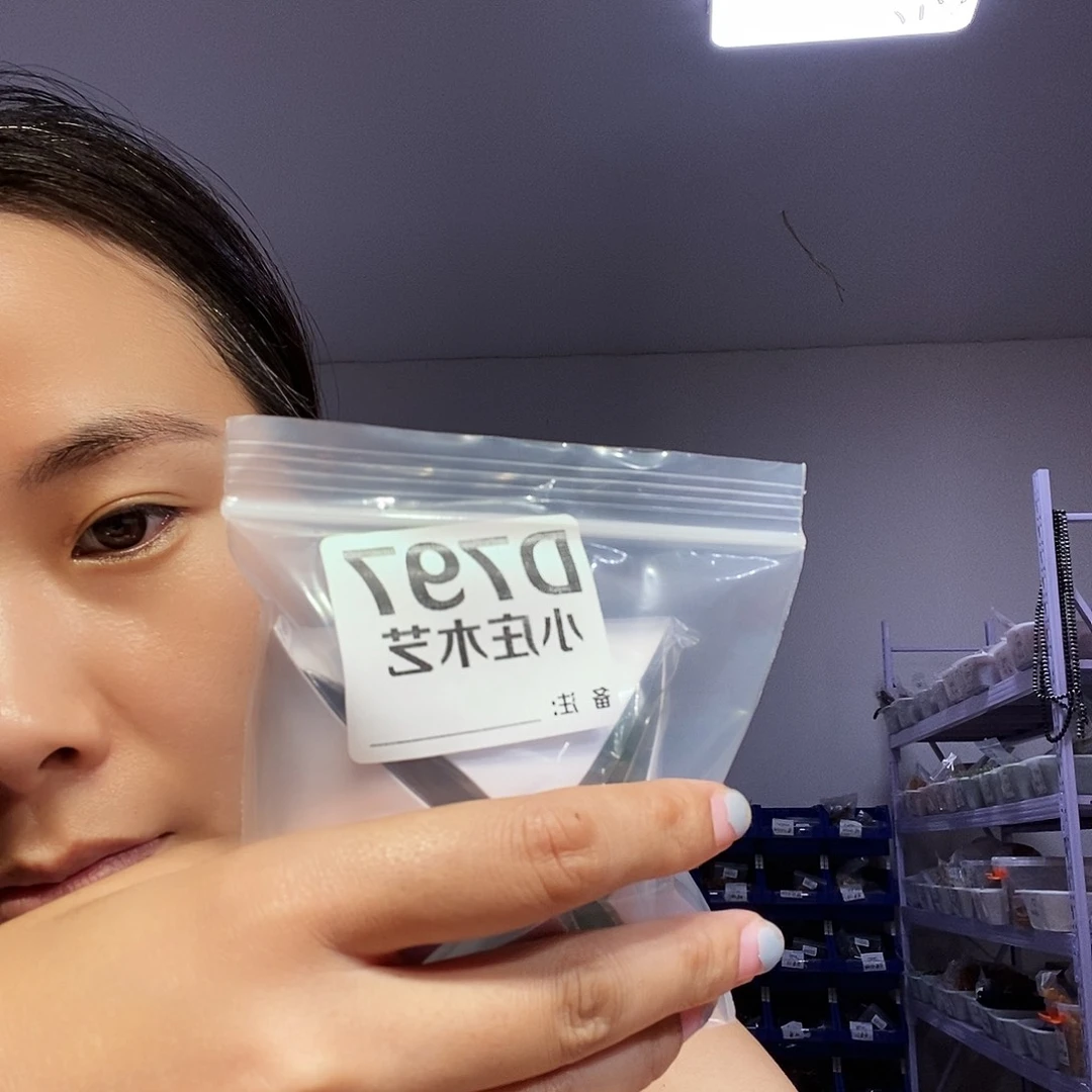【闪购商品】黑檀木，风车木797