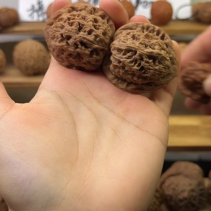 水龙纹 40全品无修