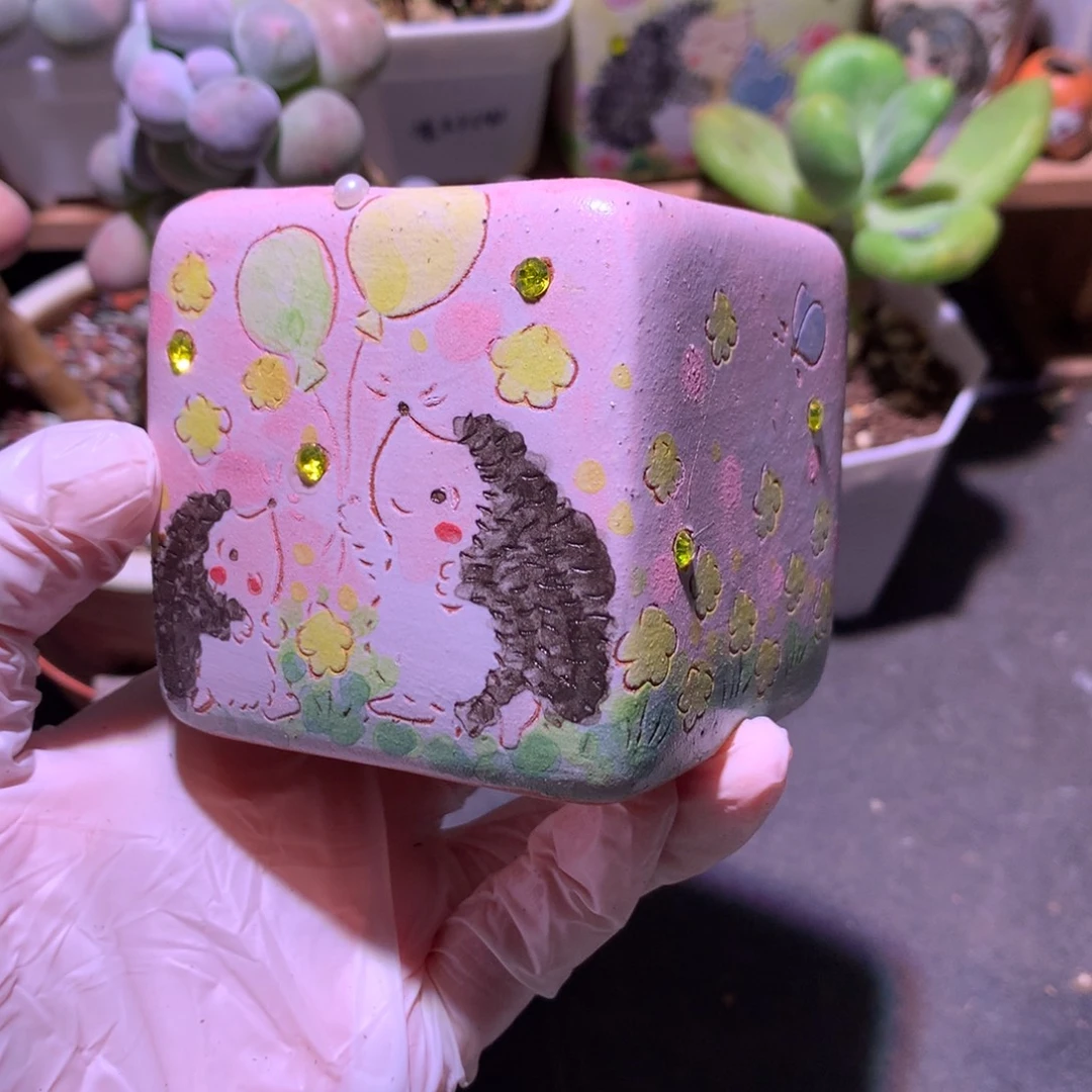 花盆嚯哈哈哈哈哈小刺猬