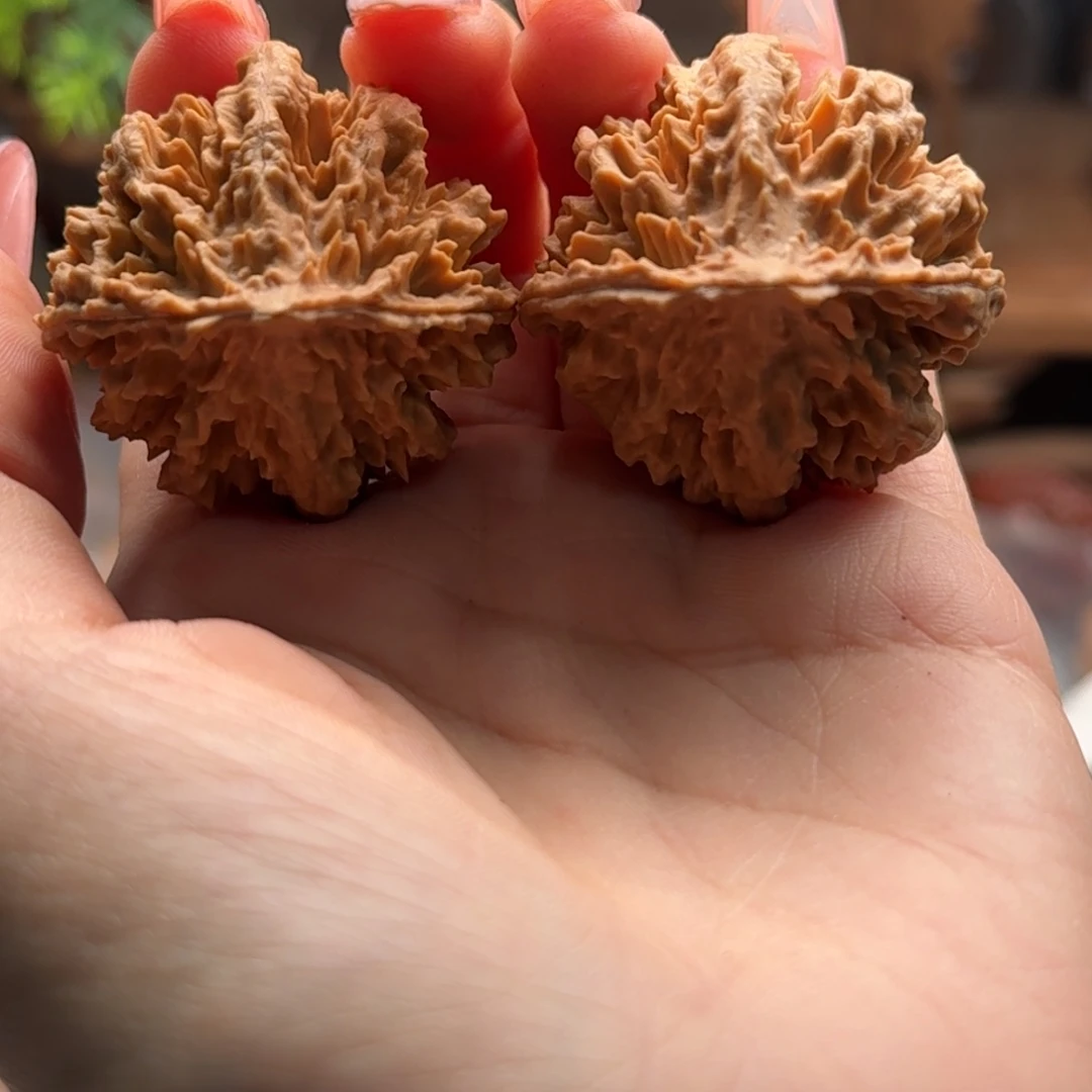 文玩核桃把件关东木子楸百核19