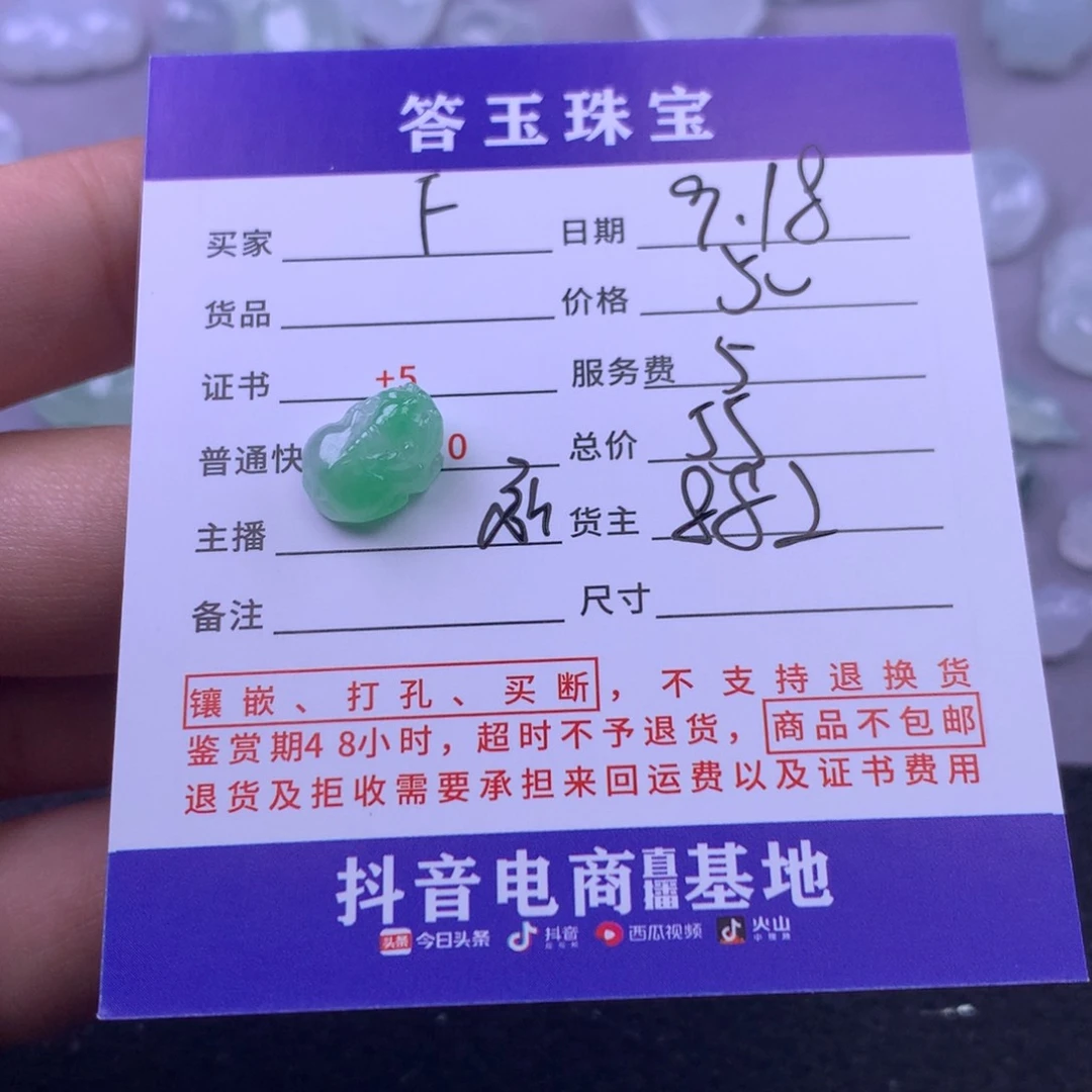 颈饰未镶嵌翡翠F*