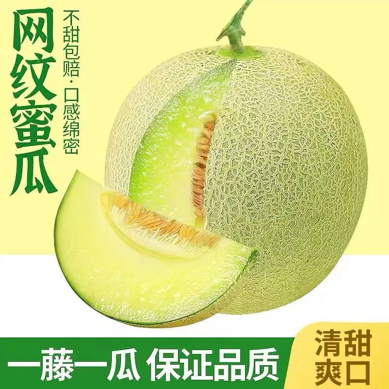 藤丸玫珑蜜瓜网纹瓜礼盒