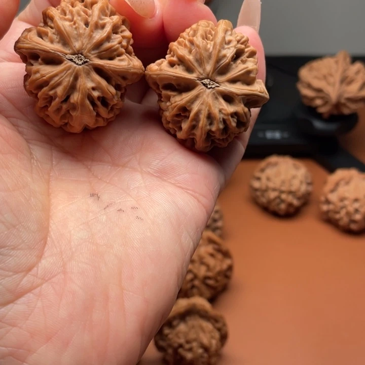 林***柳桃木秦时明月是一部好剧啊我