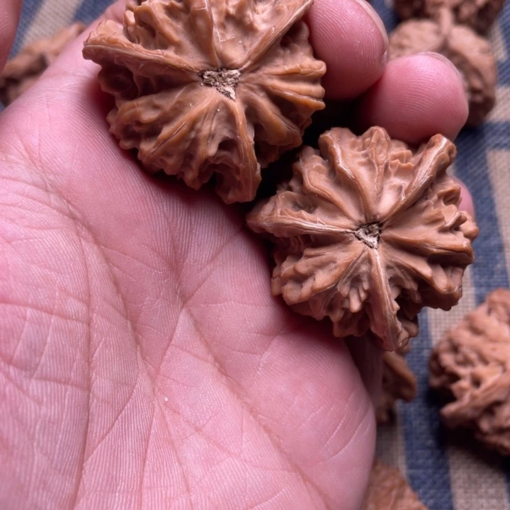 S***梦40尺寸全品无修盘山公子帽三棱