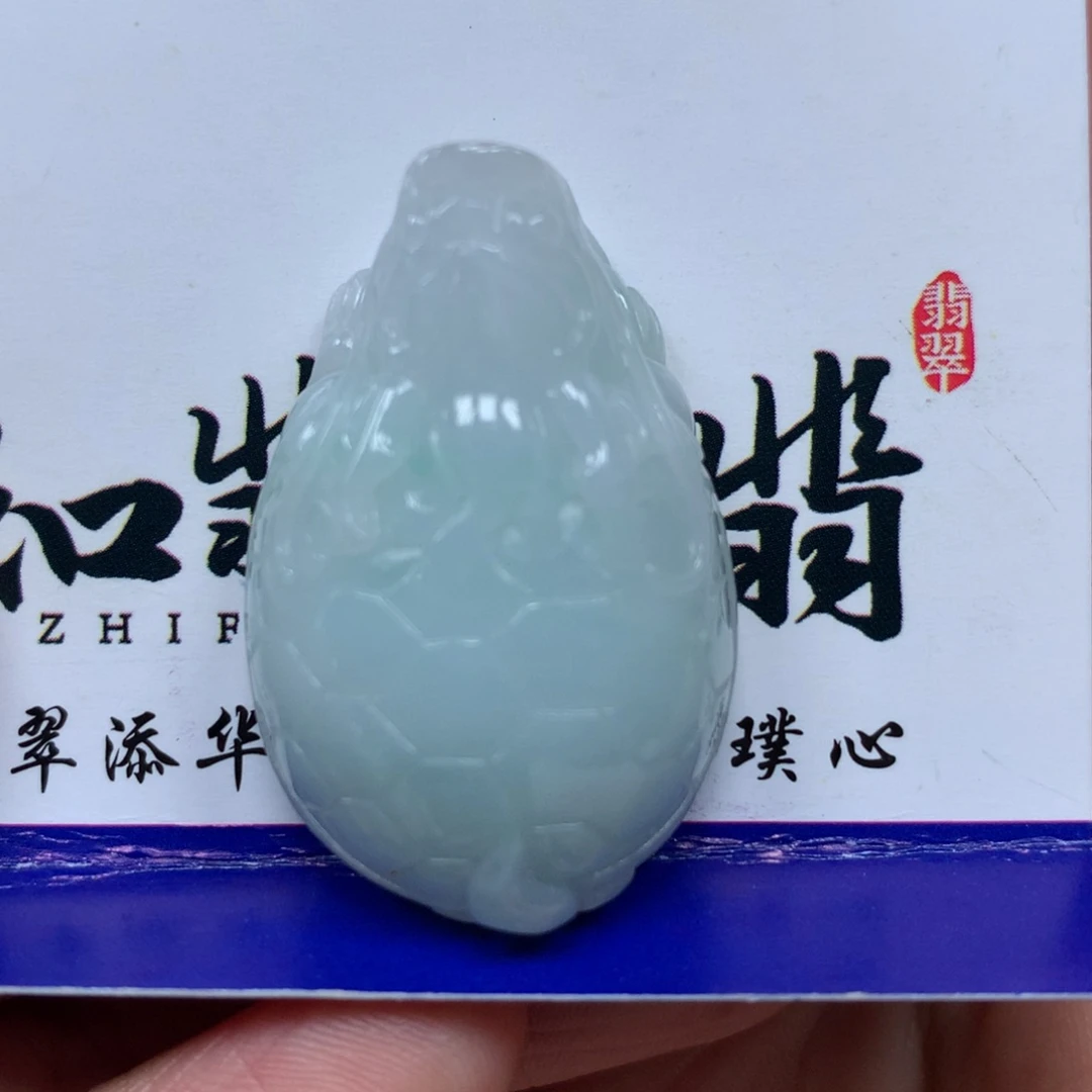 翡翠颈饰未镶嵌龙龟