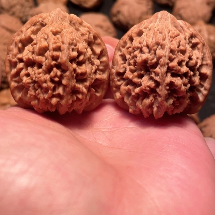 核桃40全品满天星