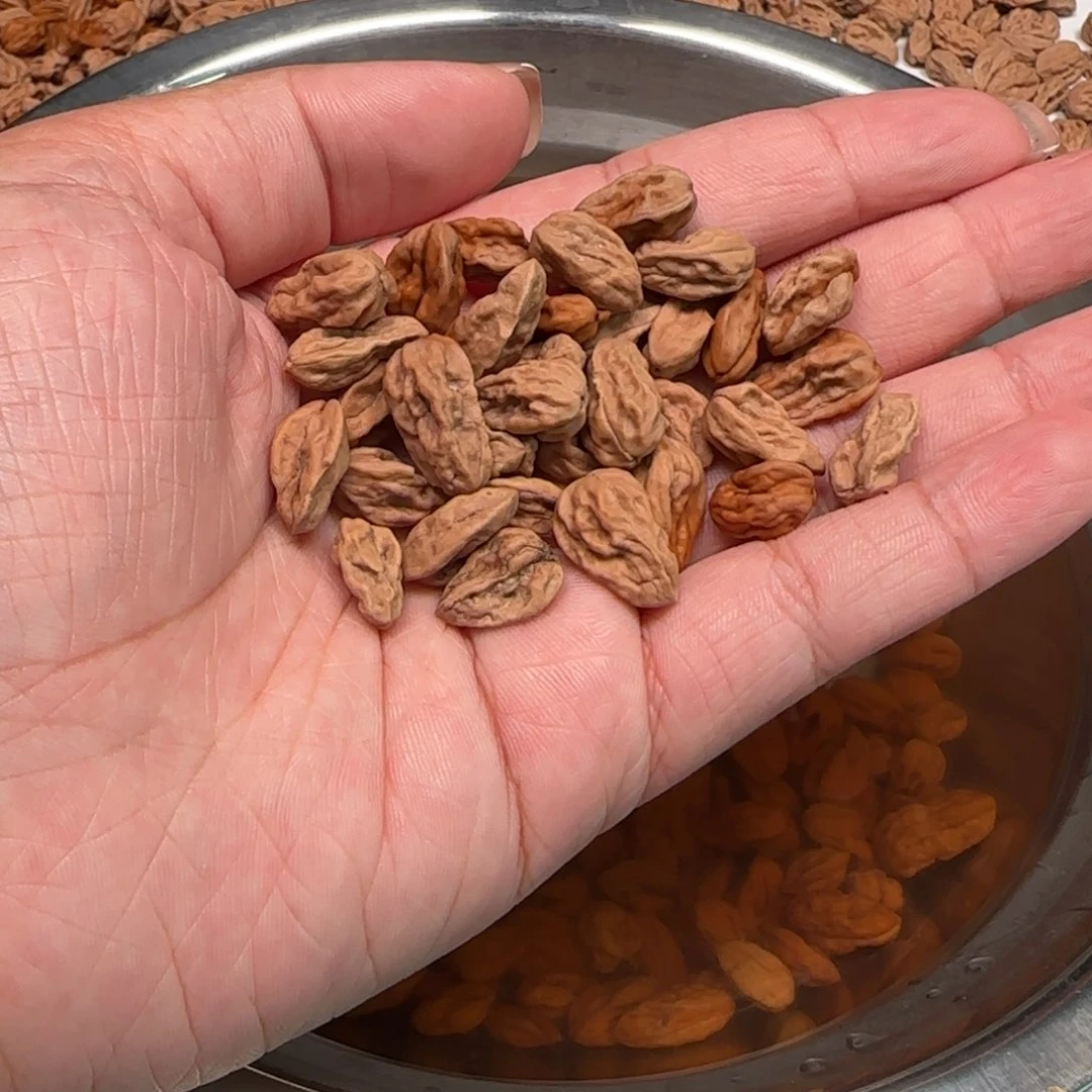 饭***)文玩核桃手串15颗包打孔不包编绳