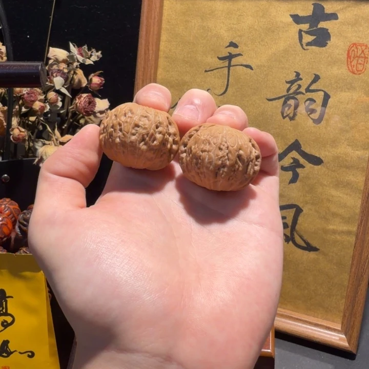 小尺寸毕业级铁锤妹妹满肉