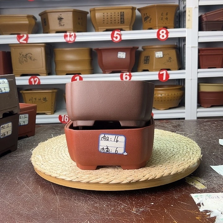 紫砂花盆蛇年大吉