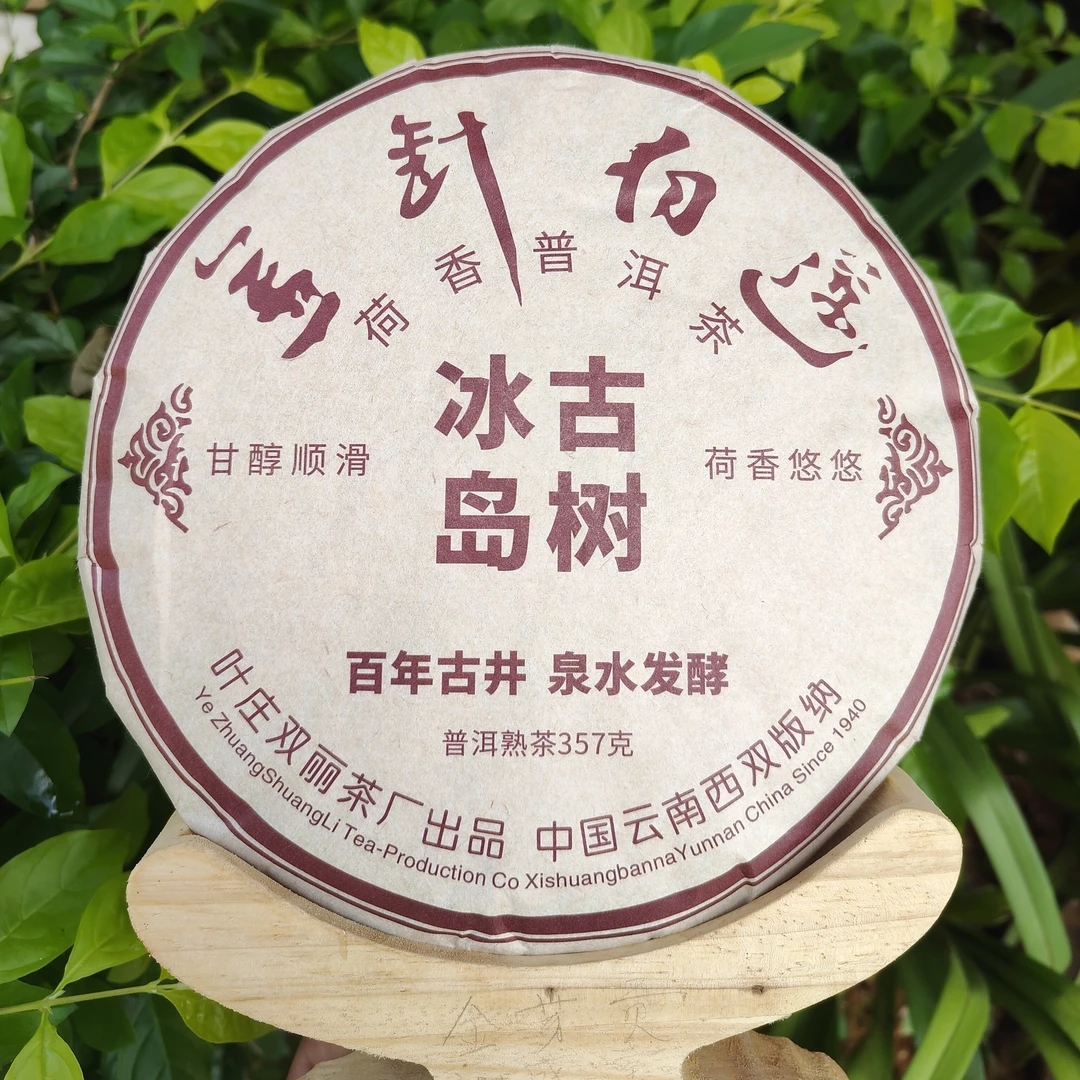金针白莲熟茶2018年（醇香甜润丝滑）